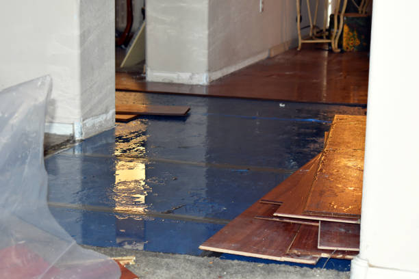 Professional Burst Pipe Cleanup technician working in Falls Church, VA